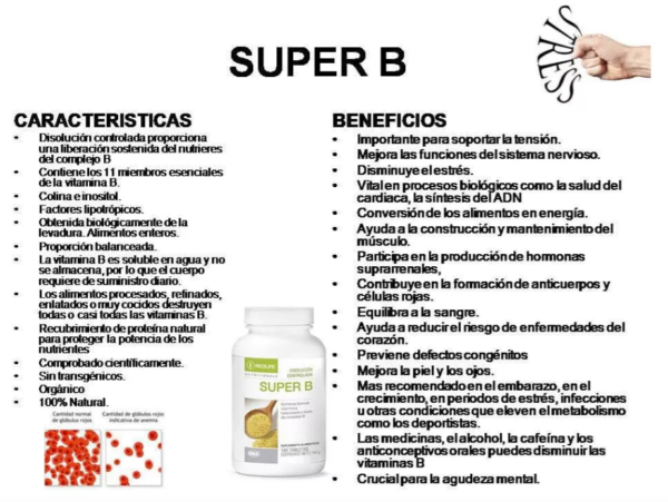 Super B - Image 2
